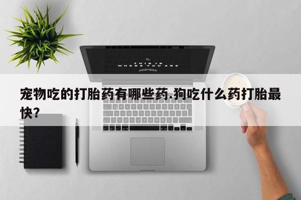 打胎药在线购买微信在线下单宠物吃的打胎药有哪些药.狗吃什么药打胎最快？