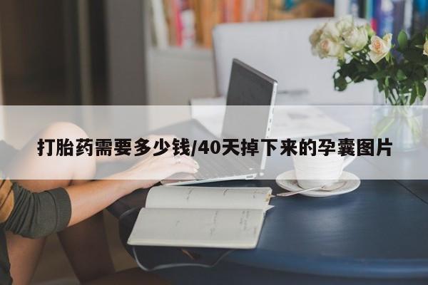 打胎药在线购买微信在线下单打胎药需要多少钱/40天掉下来的孕囊图片