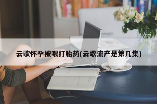 打胎药在线购买微信在线下单云歌怀孕被喂打胎药(云歌流产是第几集)